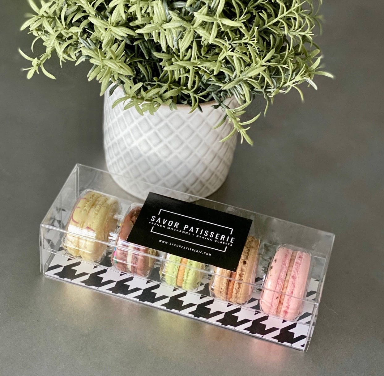 Savor Patisserie French Macrons